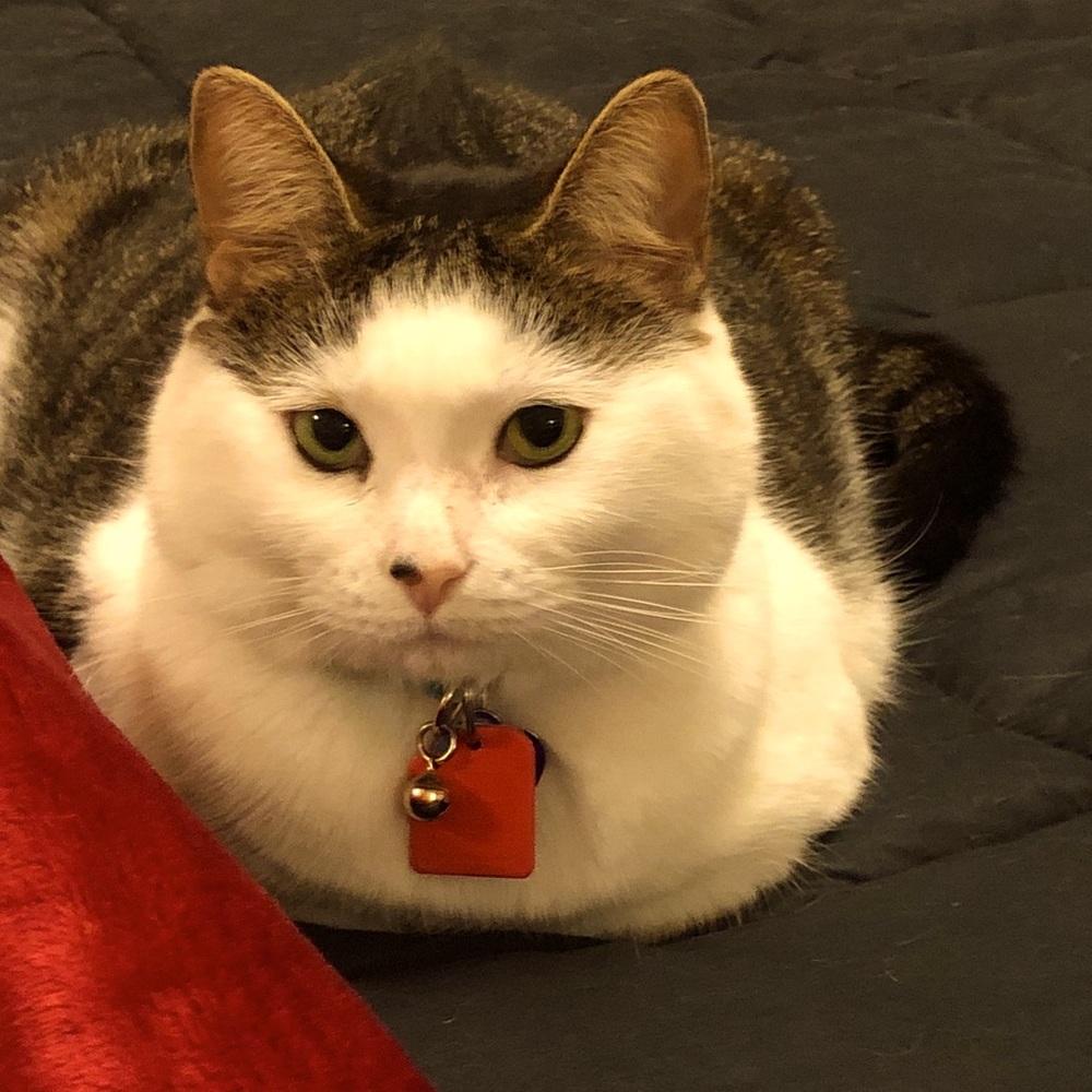 Meet your Posher, Jill